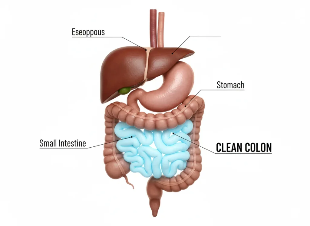 Darmreinigung und Gewichtsverlust